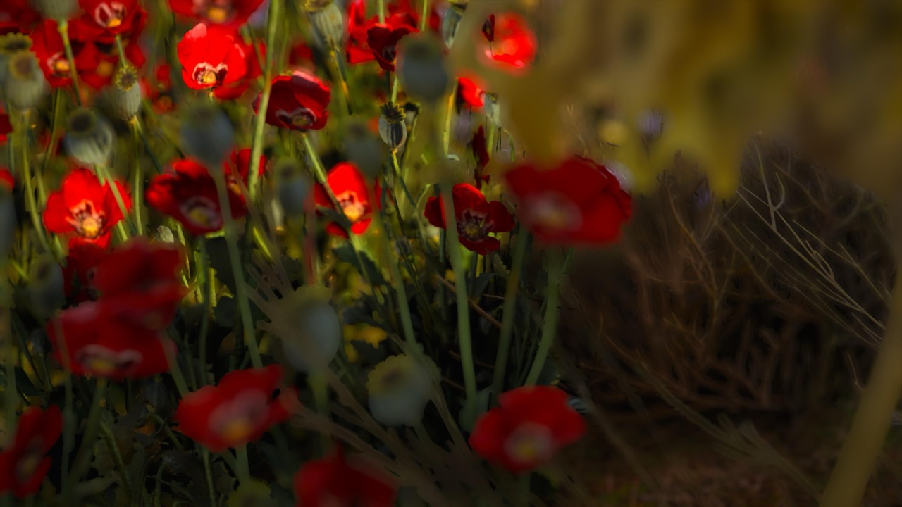 Studies on Breaking Immersion